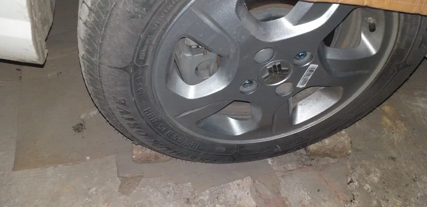 راهنمایی|فعالیت داوطلبانه تحقیقاتی|گیان, |دیوار