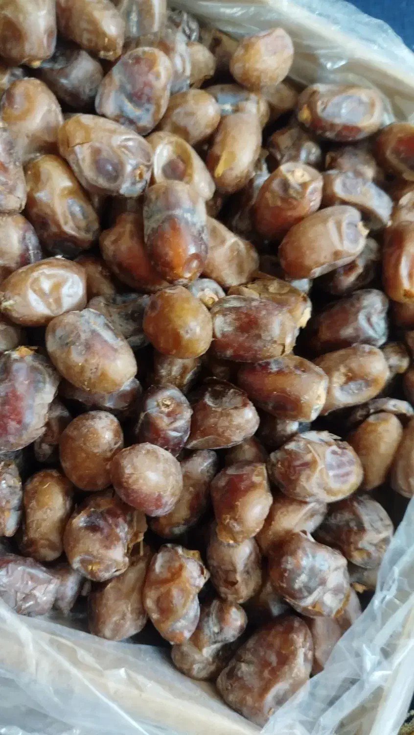 خرما هلیله|حراج|زاهدان, |دیوار