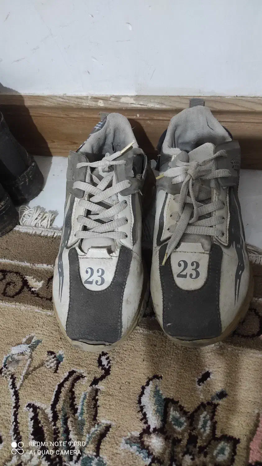 کفش|کیف، کفش، کمربند|گرگان, |دیوار