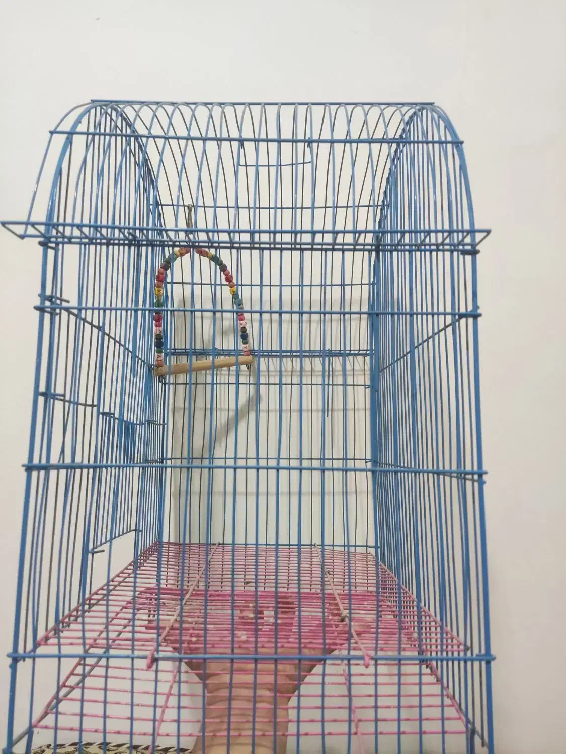 قفس بزرگ طوطی|لوازم جانبی حیوانات|سنندج, |دیوار