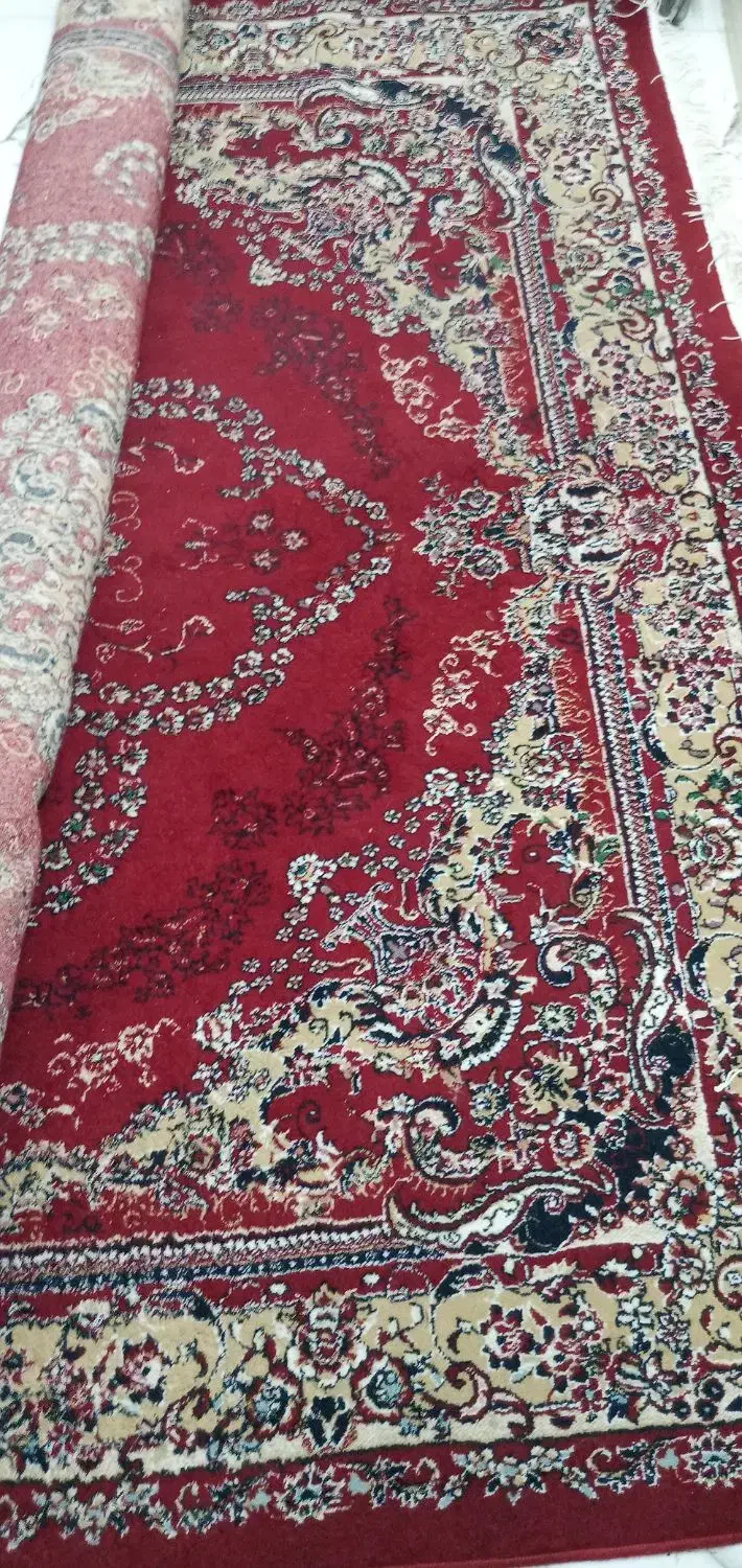 قالی ۹ متری|فرش|دزفول, |دیوار