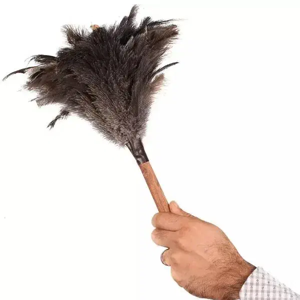 چوب پر گردگیری شترمرغ در مشهد|لوازم نظافت|مشهد, سجادیه|دیوار