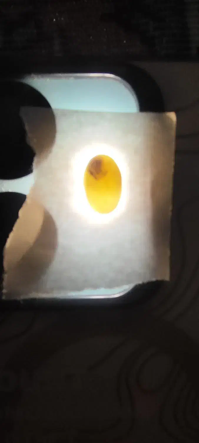 سنگ|جواهرات|پیشوا, |دیوار