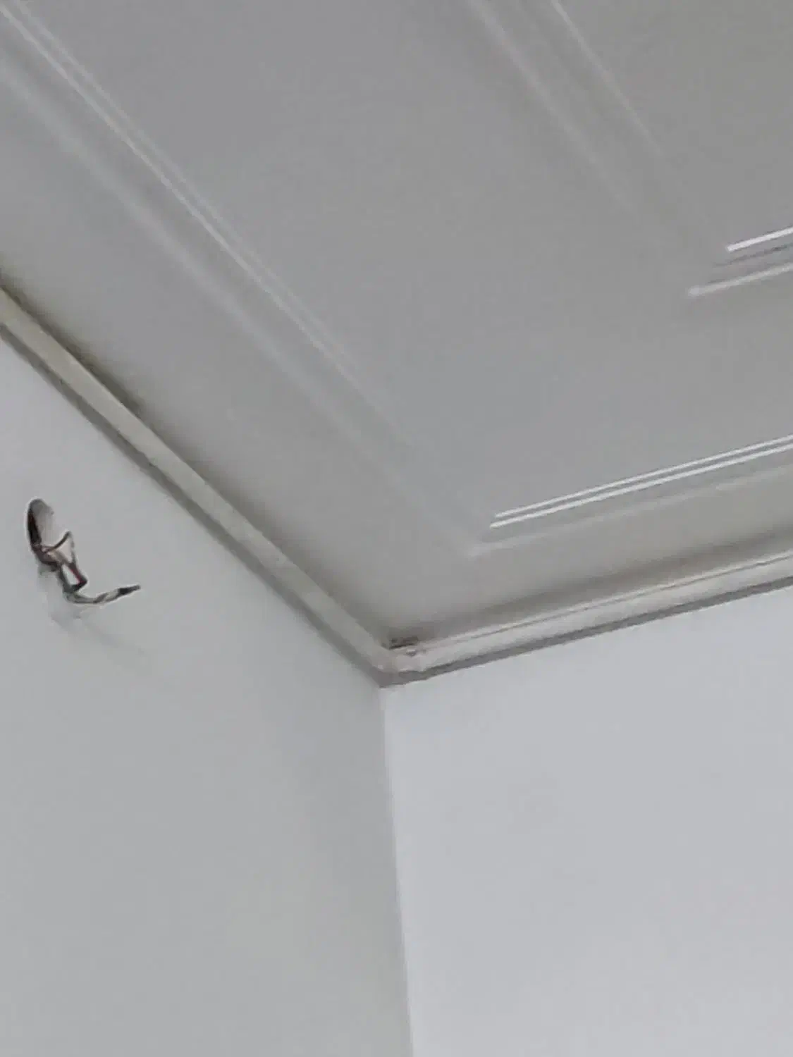 شاگرد برای لوله کشی گاز|استخدام صنعتی، فنی، مهندسی|کرمان, |دیوار