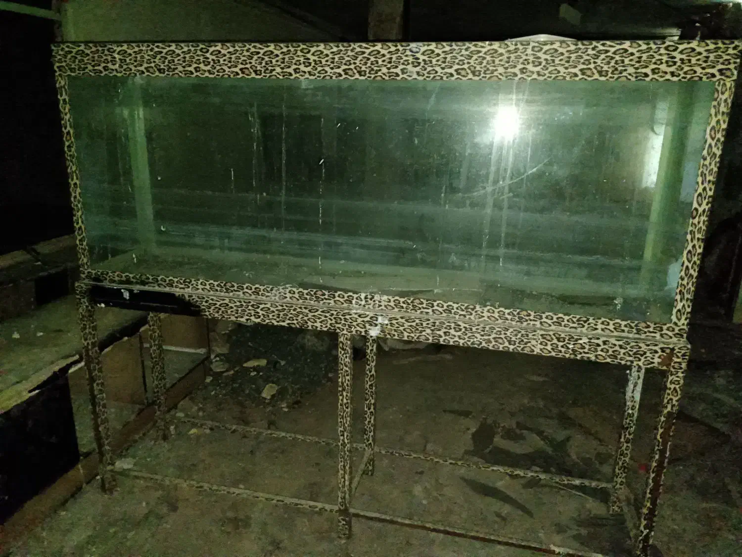 آکواریوم بزرگ|ماهی|بیرجند, |دیوار