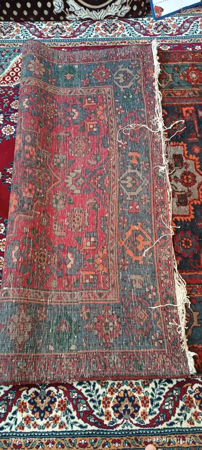 فرش دستباف 4متری|فرش|لنگرود, |دیوار