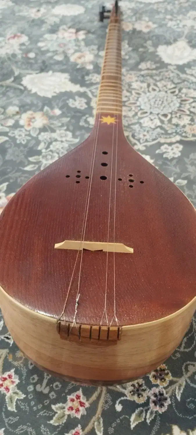 سه تار سجاد مراتی|سازهای سنتی|شیراز, شهرک قمشه|دیوار