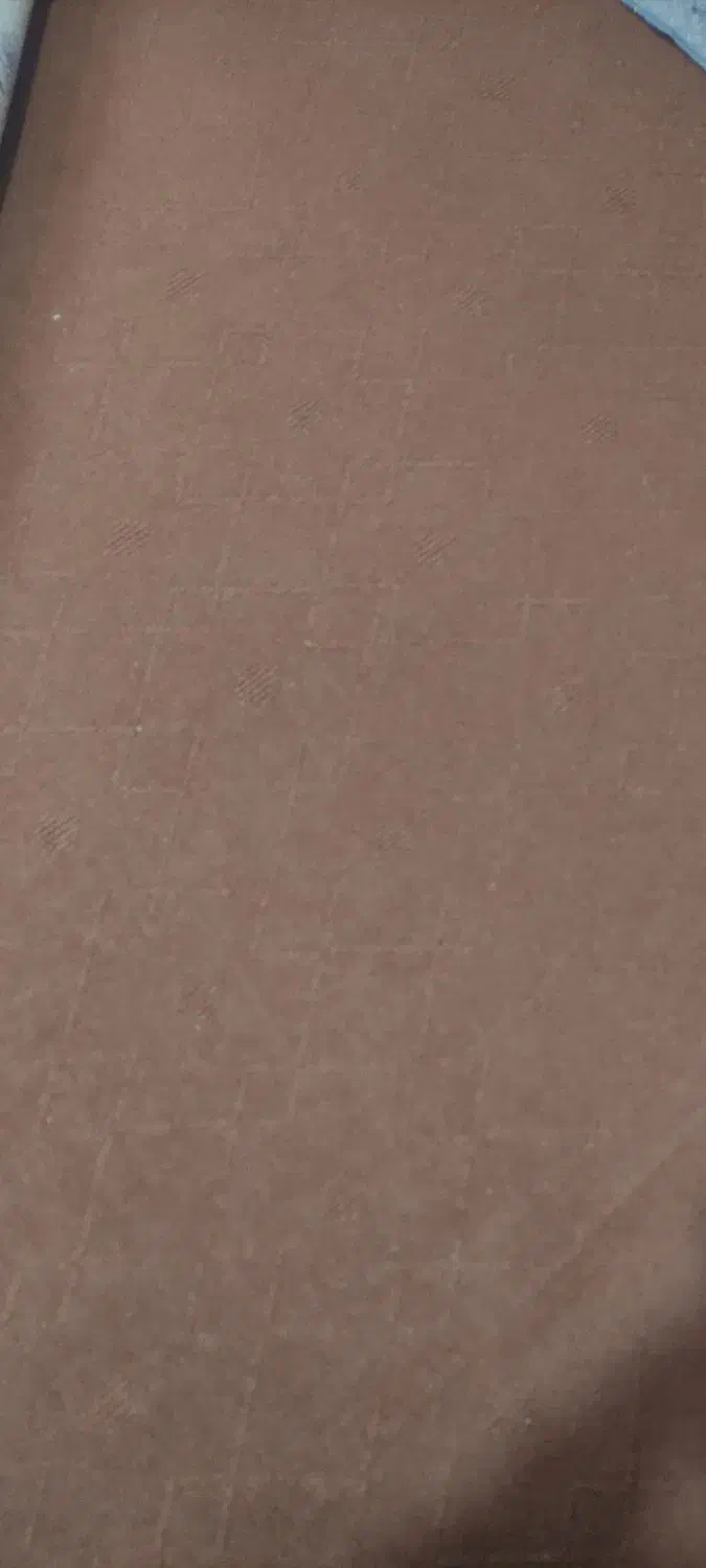 موکت|موکت|بجنورد, |دیوار