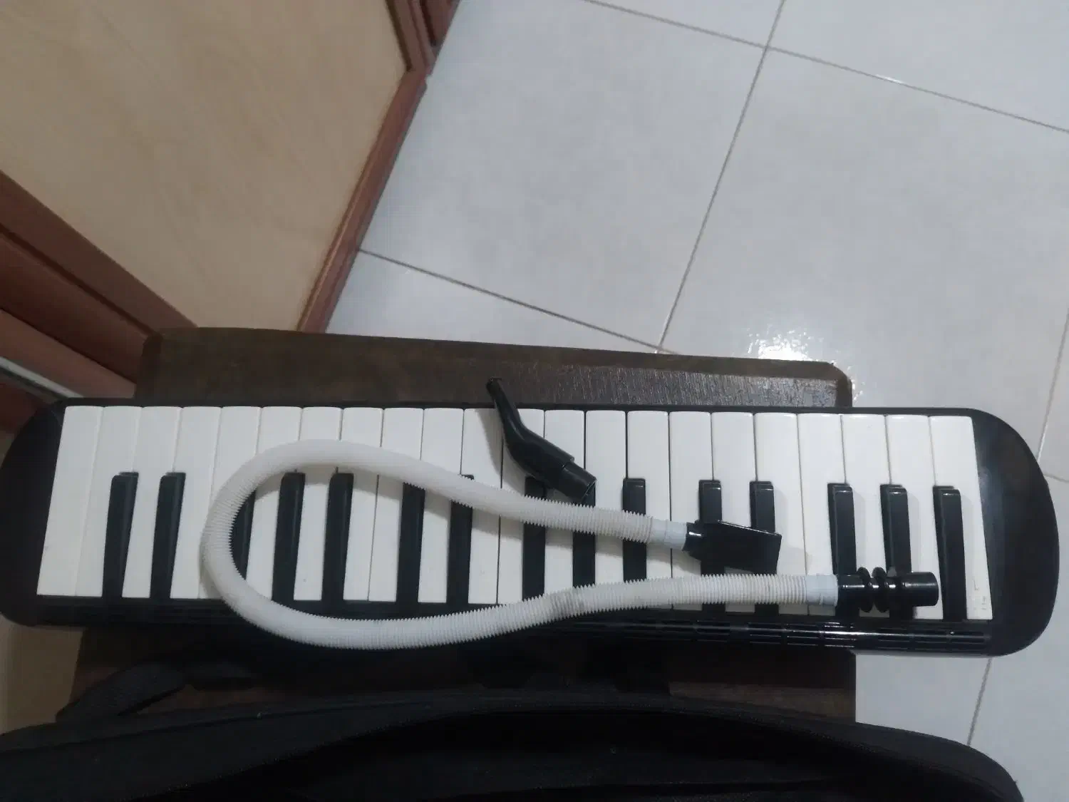 ملودیکا ۳۲|سازهای بادی|بندر انزلی, شاکوچه|دیوار