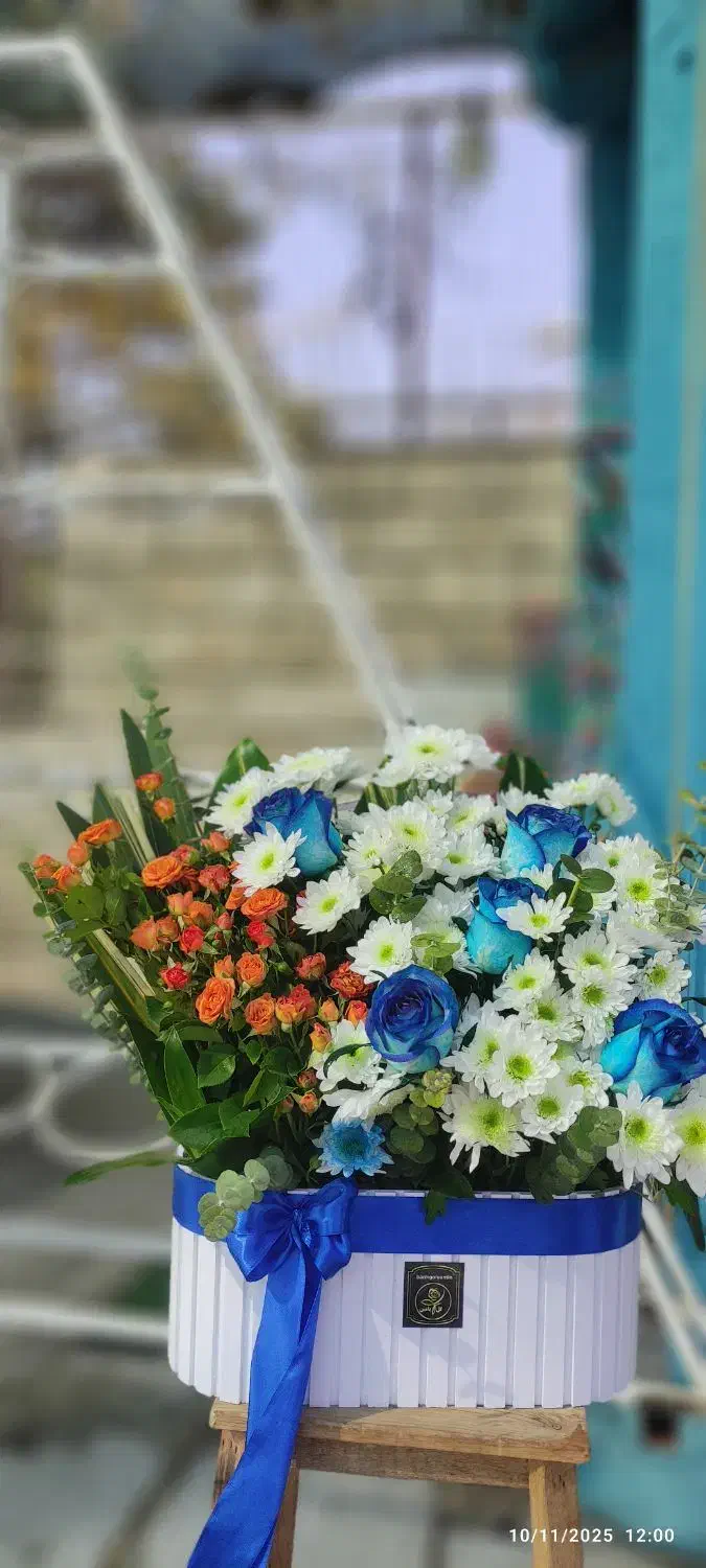 همکاری و درخواست نیرو|گل و گیاه طبیعی|تاکستان, |دیوار