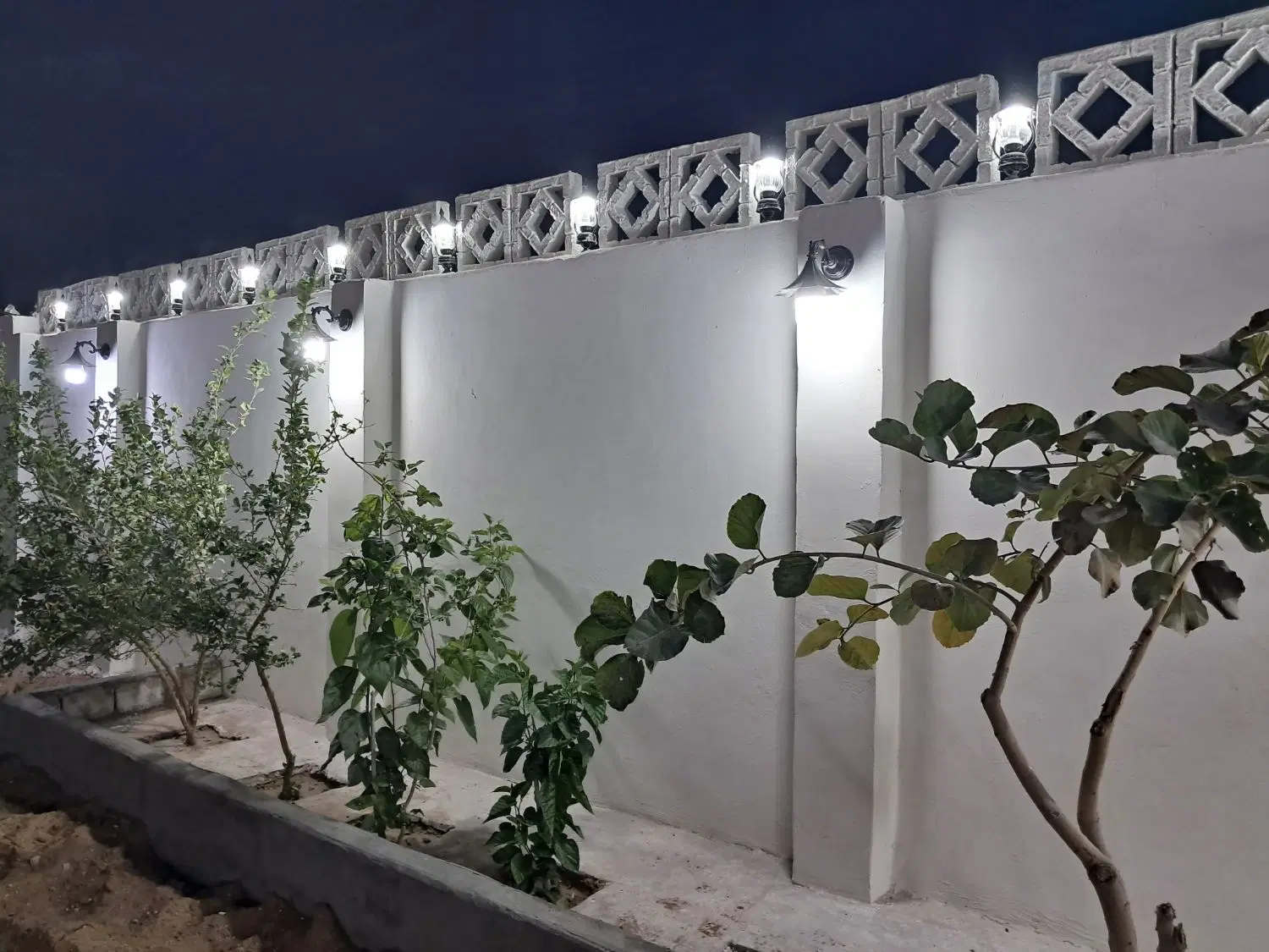 تصویر 2