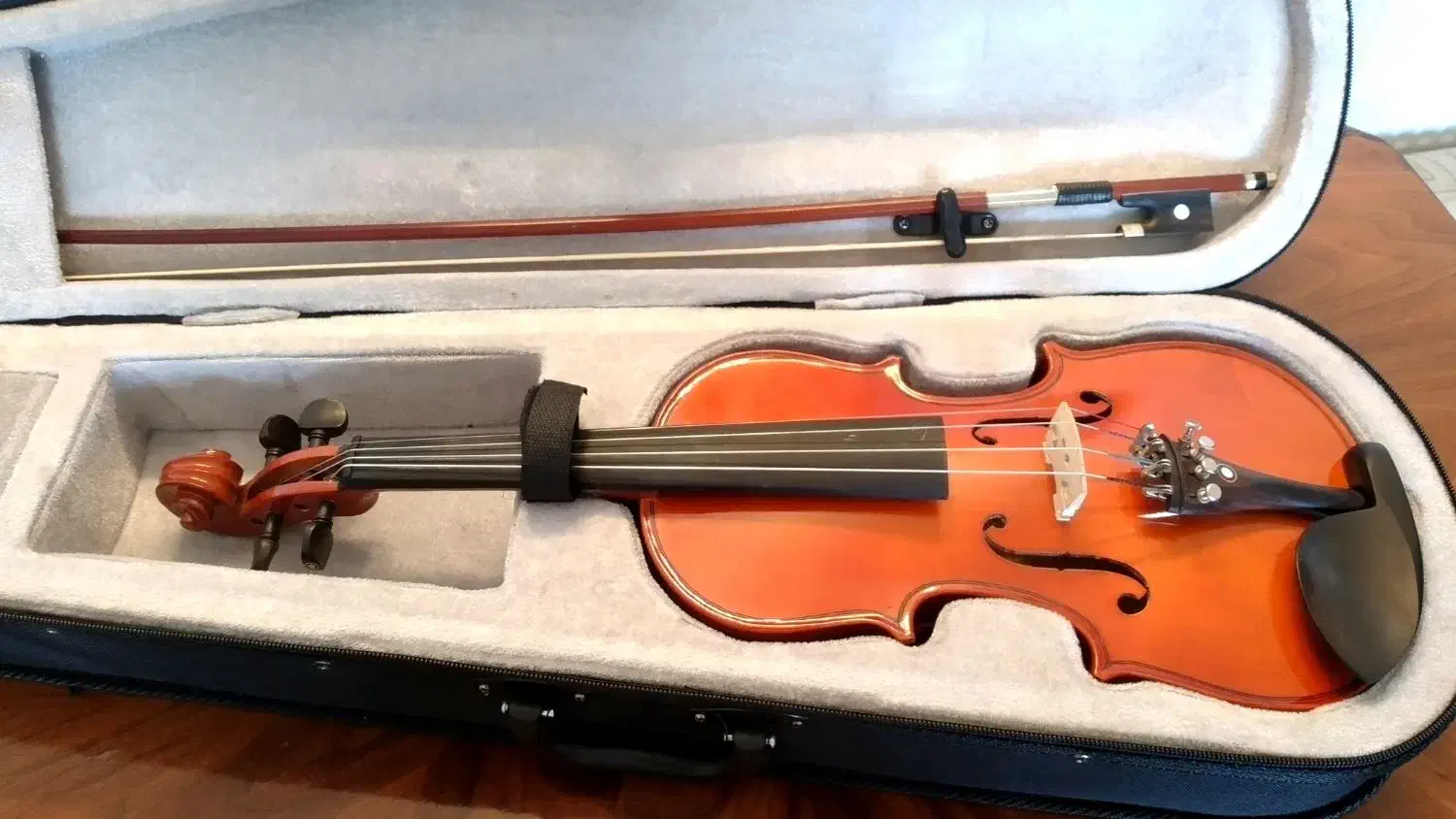 ویولن Locto|ویولن|فولادشهر, C1|دیوار