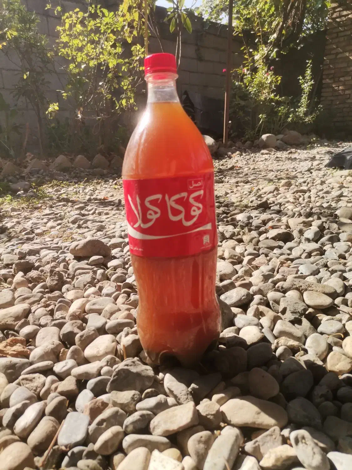 آبغوره|خوردنی و آشامیدنی|گرگان, |دیوار