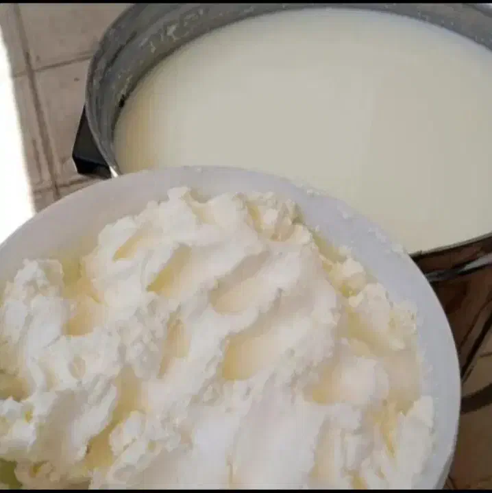 کره|خوردنی و آشامیدنی|گوآور, |دیوار