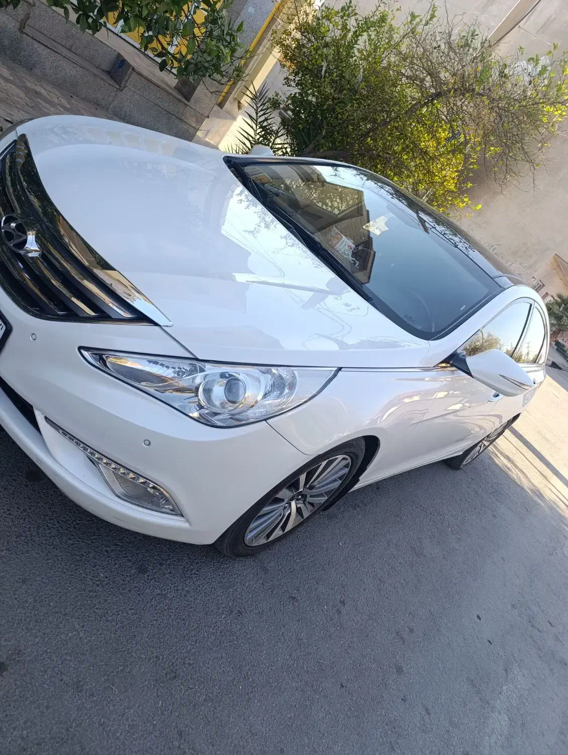 سوناتا ۲۰۱۳|خودرو سواری و وانت|شیراز, فلکه گاز|دیوار