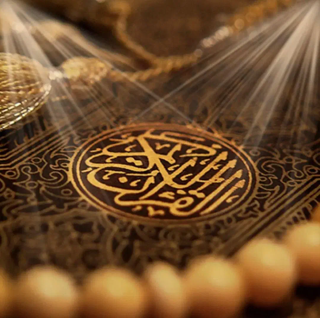 سید زاهد|فعالیت داوطلبانه|لیکک, |دیوار