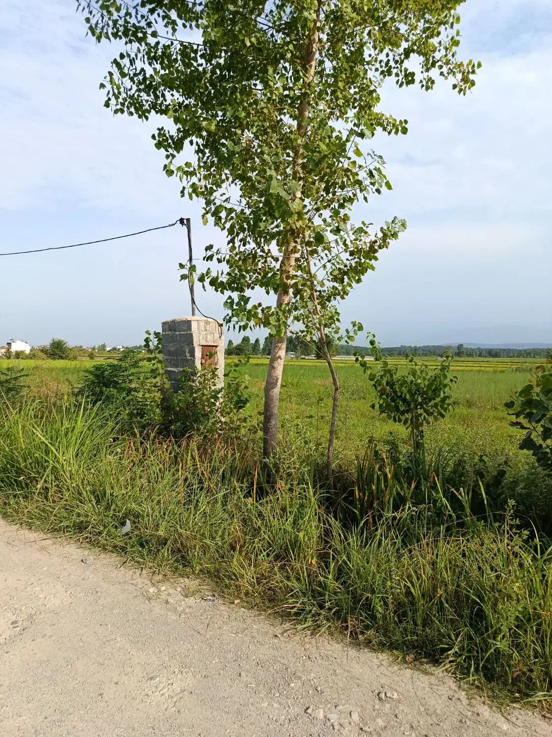 راهنمایی صدمترزمین سندار|فعالیت داوطلبانه|چمستان, |دیوار