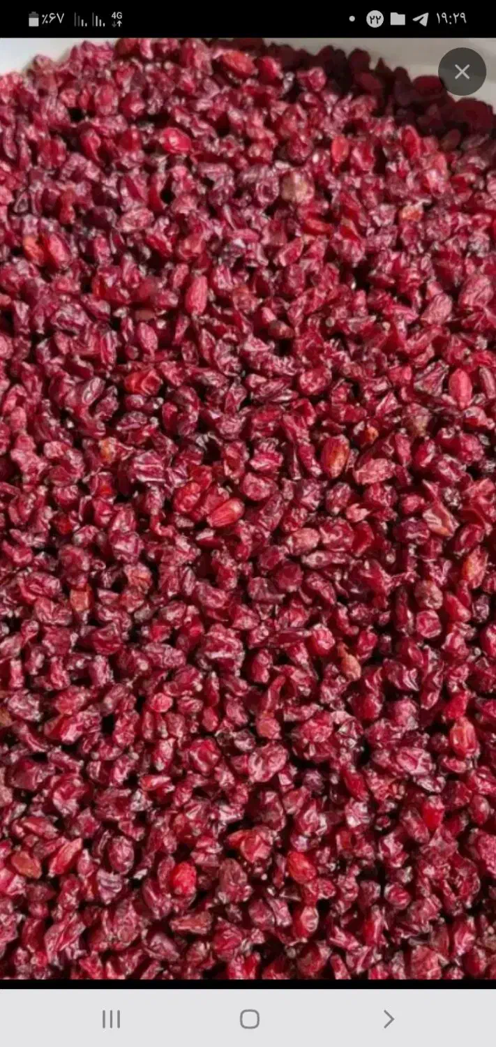 زرشک|خوردنی و آشامیدنی|خوسف, |دیوار