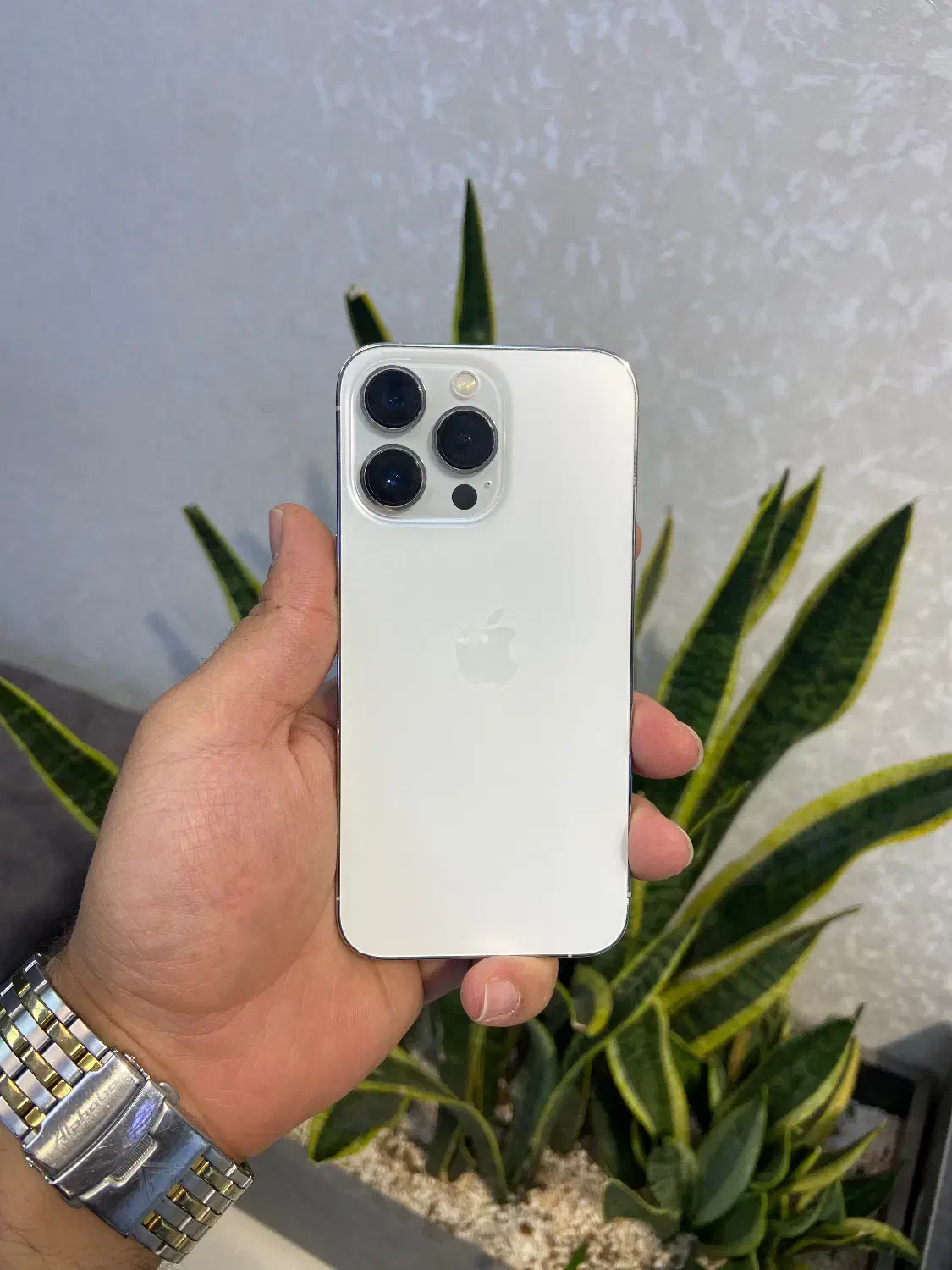 اپل iPhone ۱۳پرو رنگ زیبای سیلور طرح تعویض و اقساط|موبایل|اصفهان, احمدآباد|دیوار