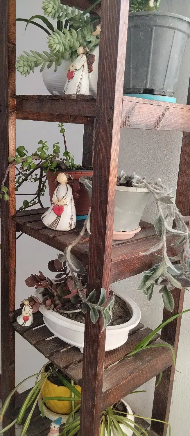 لوازم خانگی|صنایع دستی و سایر لوازم تزئینی|ساری, |دیوار