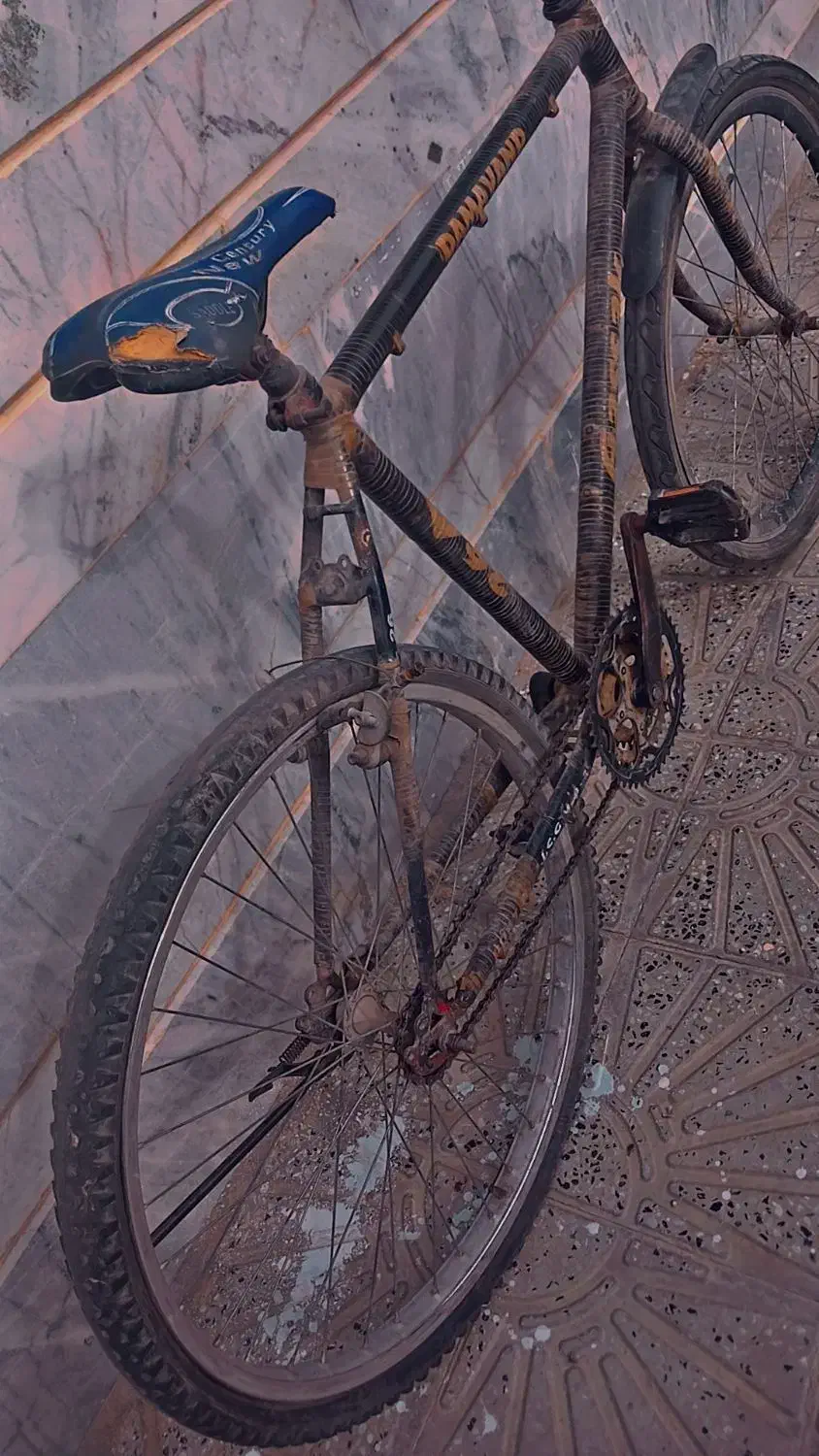 دوچرخه ۲۶|دوچرخه، اسکیت، اسکوتر|بیرجند, |دیوار