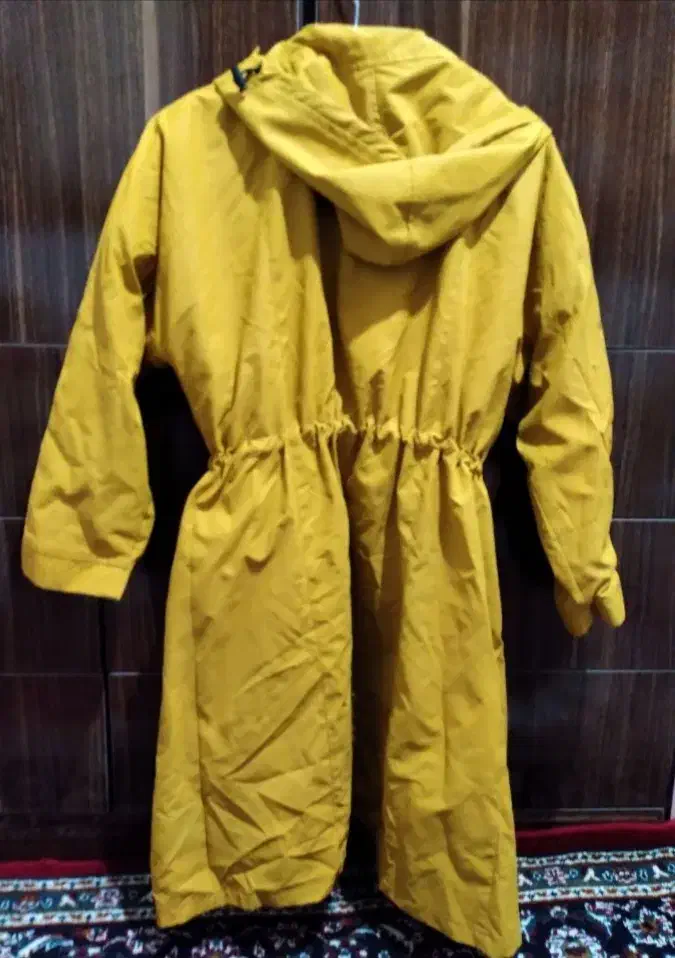 پالتو|لباس|بیستون, |دیوار