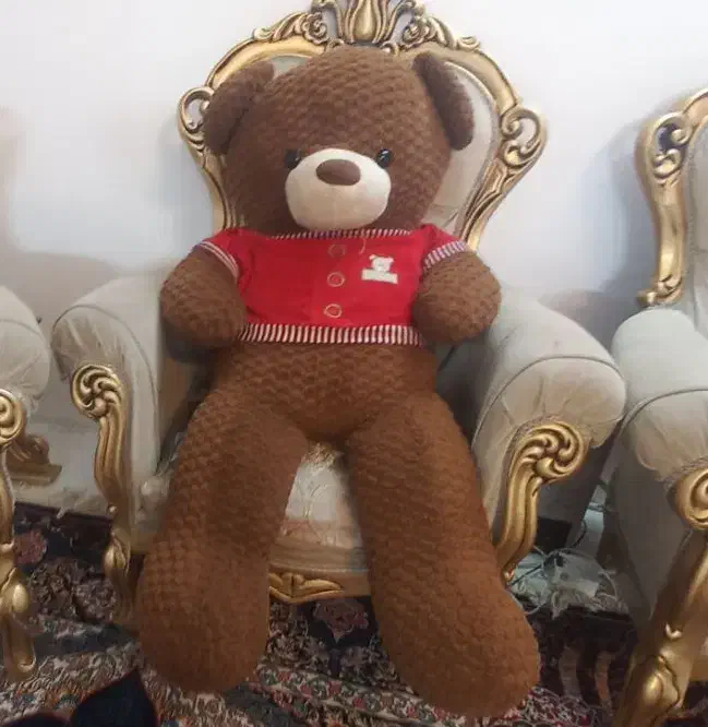 خرس|اسباب‌بازی بچه|مشهد, عبادی|دیوار