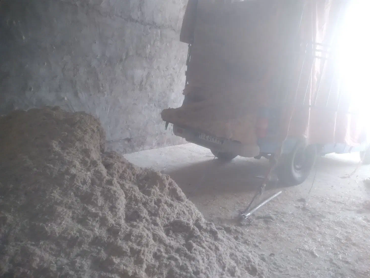 کاه طوفالی نیشکرامیدیه|لوازم جانبی حیوانات|امیدیه, |دیوار