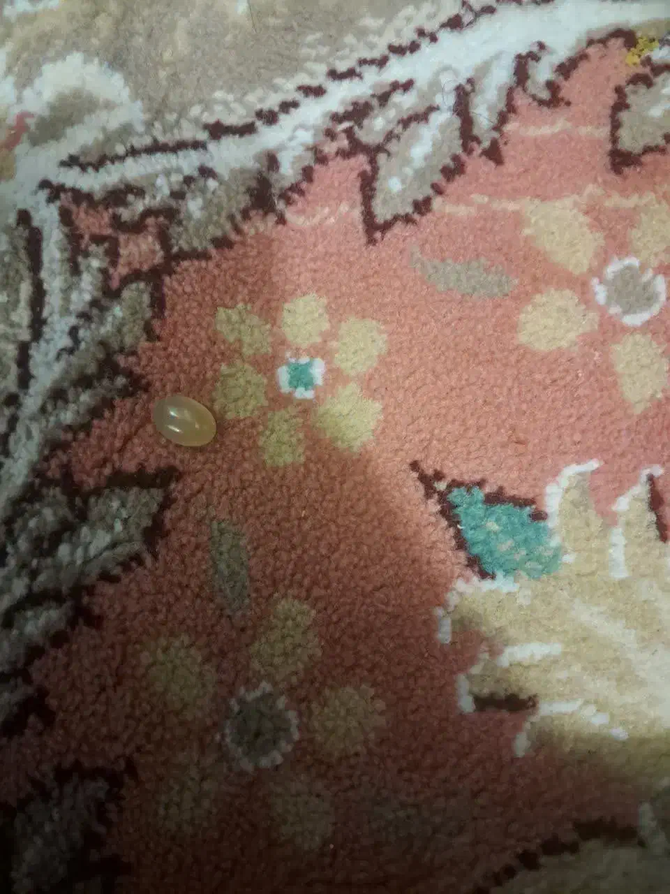 فروش یک عدد انگشتر نقره یا یک سنگ جدا|جواهرات|ابریشم, |دیوار