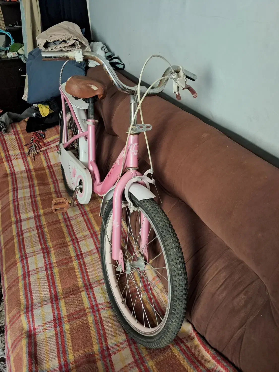 دوچرخه دخترونه سایز ۲۰ تک دنده|دوچرخه، اسکیت، اسکوتر|صدرا-فارس, فاز ۱|دیوار