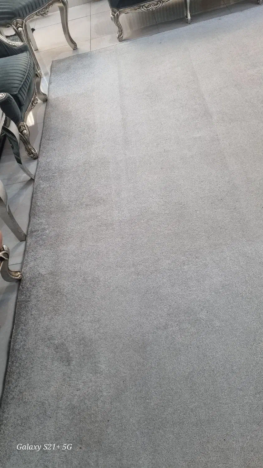 موکت پرز بلند|موکت|قدس, شهرقدس|دیوار