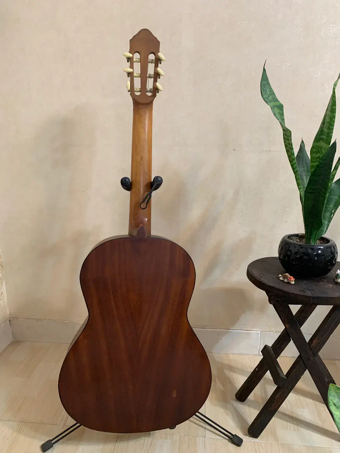 گیتار کلاسیک نگرا|گیتار، بیس، امپلیفایر|مراغه, |دیوار