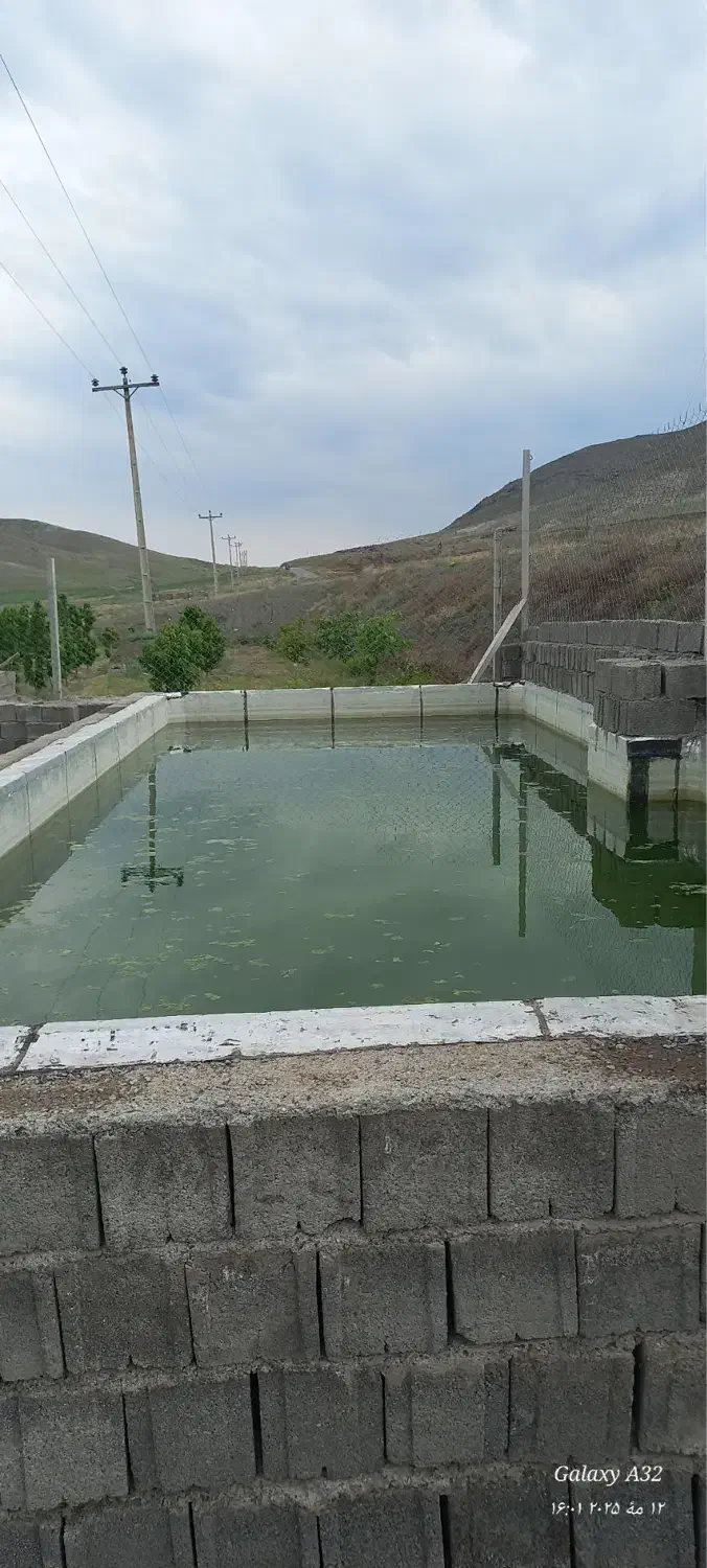 هلو شلیل بادام گیلاس|حراج|خوی, |دیوار