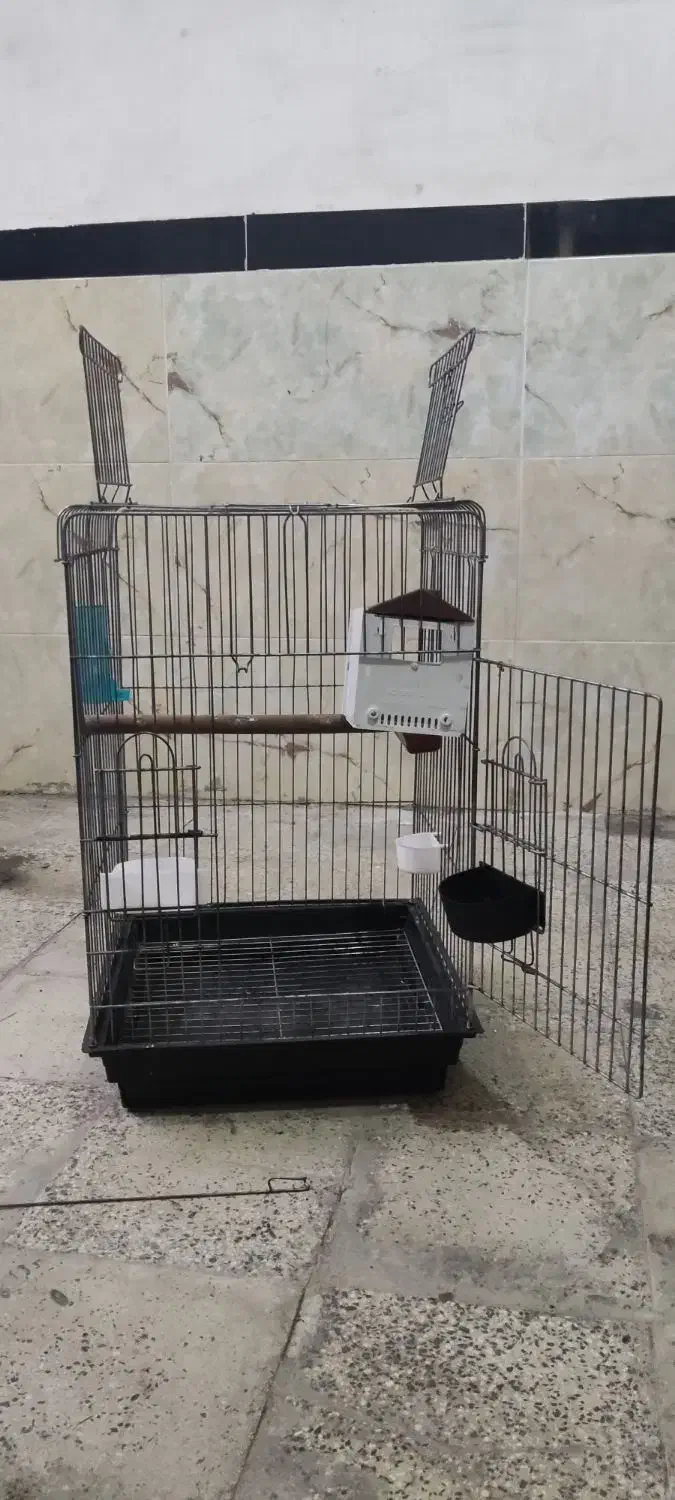 قفس بزرگ پرنده|لوازم جانبی حیوانات|مریوان, |دیوار