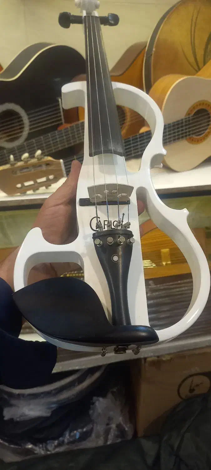 ویولن الکتریک کارلوس|ویولن|گلپایگان, |دیوار