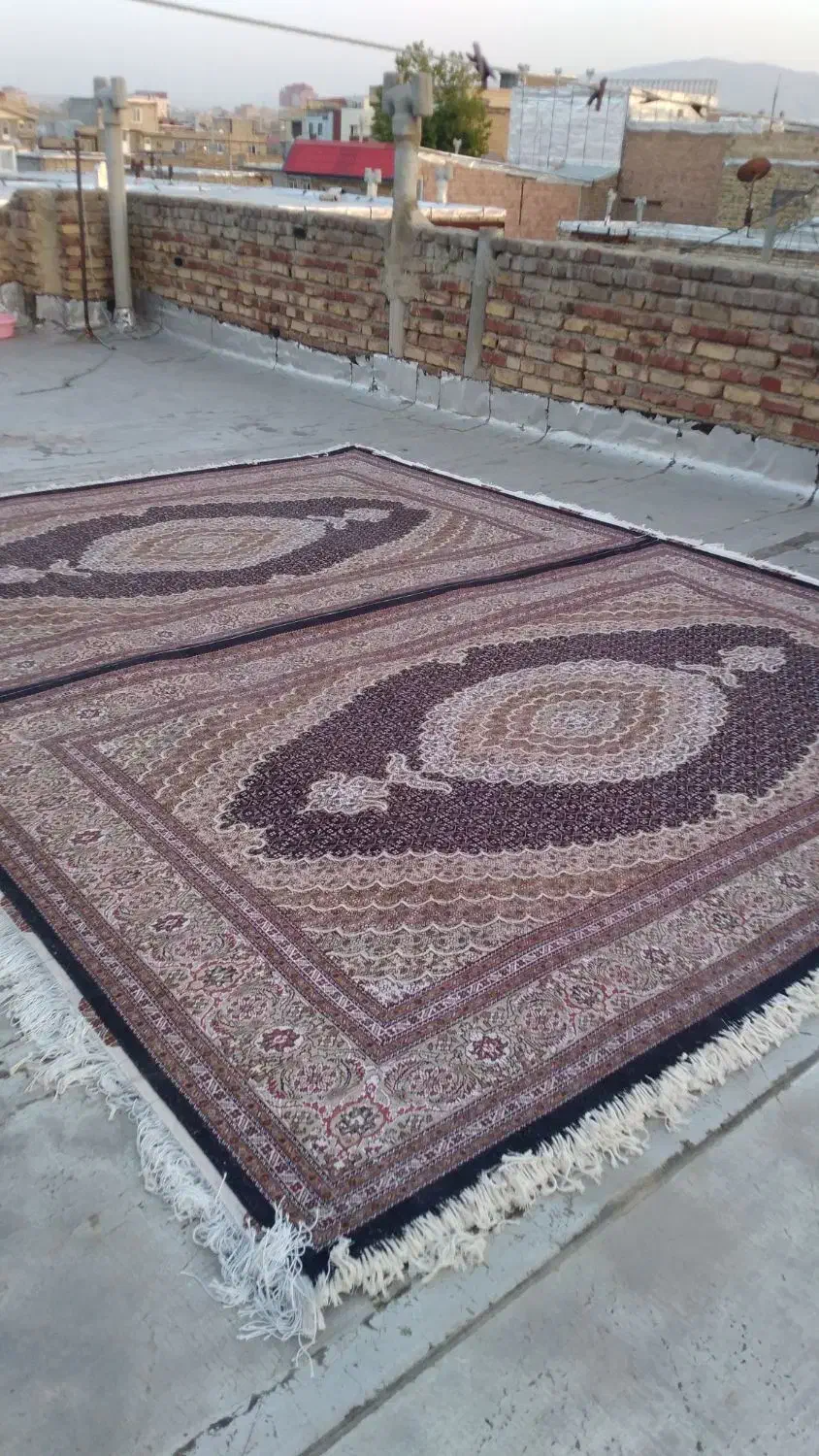 فرش دستبافتماهی 3.5در5|فرش|تبریز, |دیوار