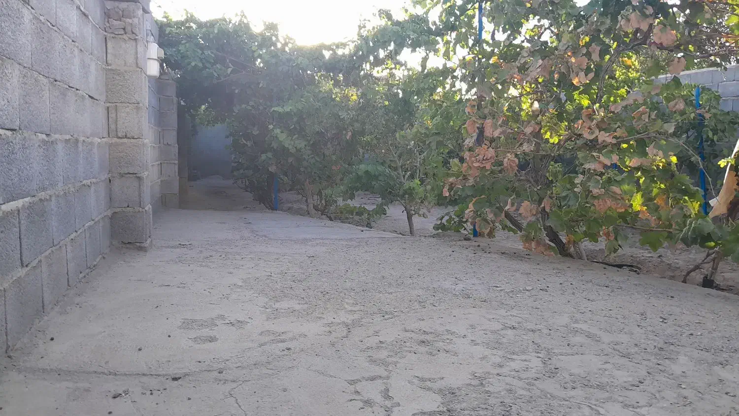 اجاره خانه ویلایی|اجارهٔ خانه و ویلا|بناب, |دیوار