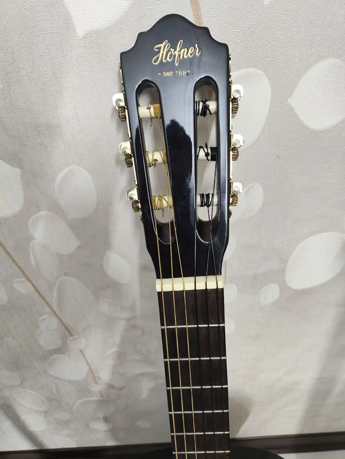 گیتار هافنر کلاسیک|گیتار، بیس، امپلیفایر|تهران, افسریه شمالی|دیوار