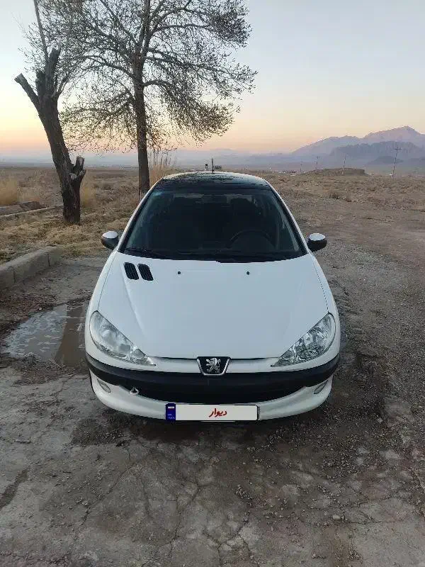 ۲۰۶پانا ۴۰۱|خودرو سواری و وانت|کرمان, |دیوار