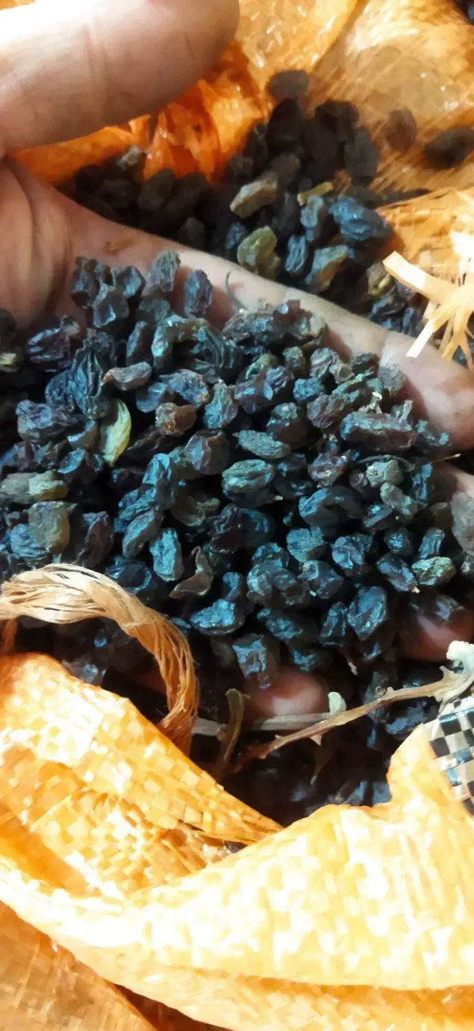 کشمش آفتابی عالی|خوردنی و آشامیدنی|تاکستان, |دیوار