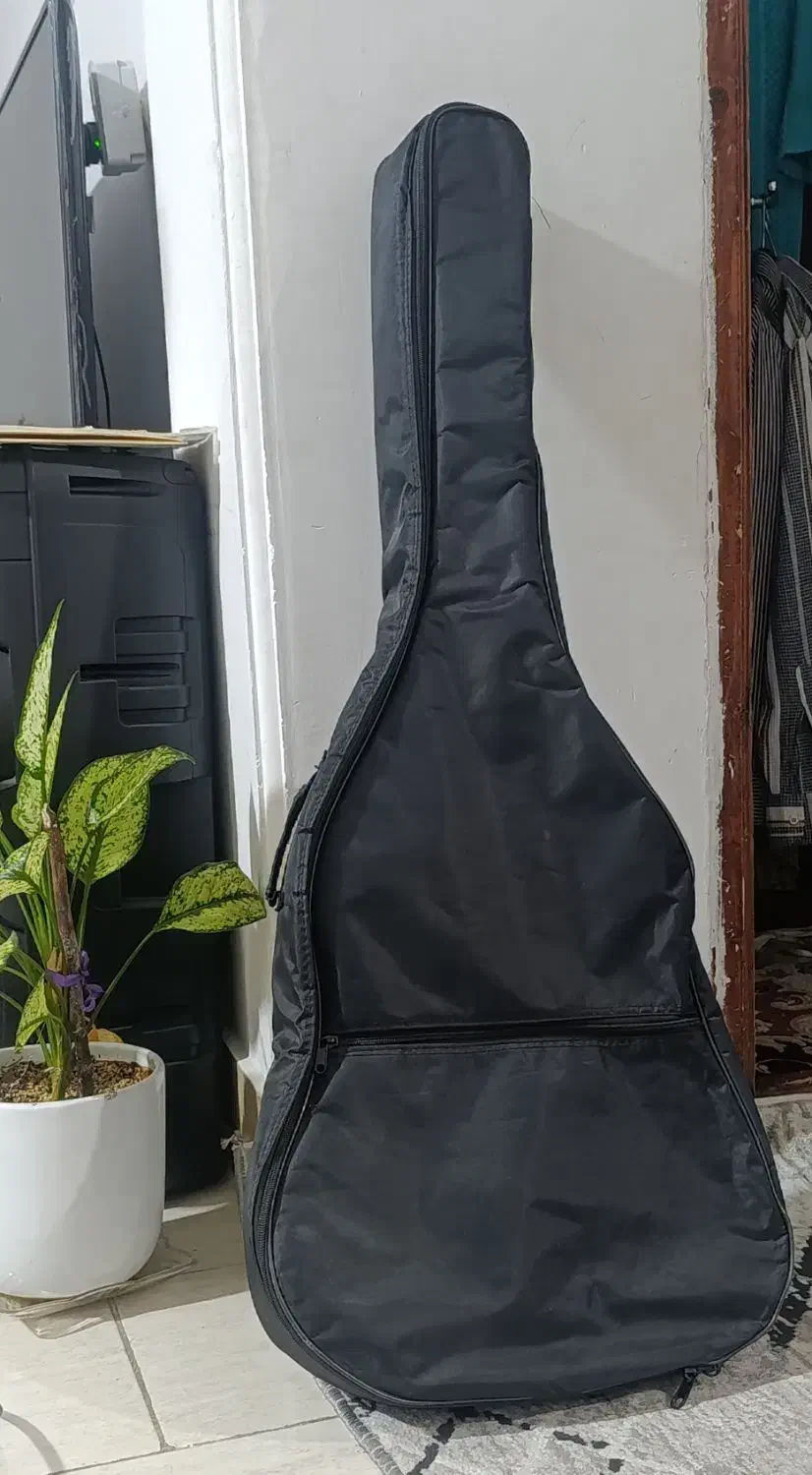 گیتار در حد نوی نو|گیتار، بیس، امپلیفایر|گنبد کاووس, |دیوار