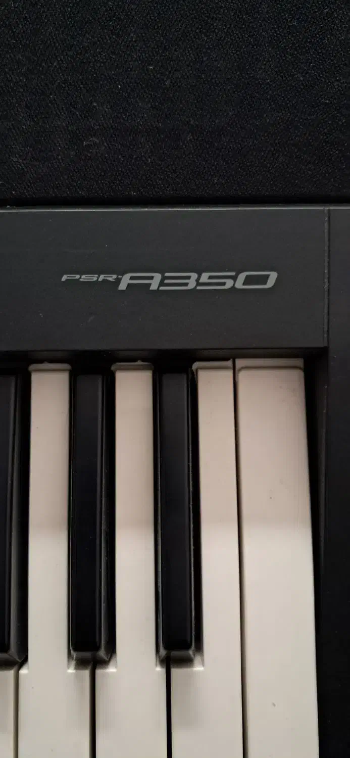 کیبورد ارگ|پیانو، کیبورد، آکاردئون|بروجن, |دیوار