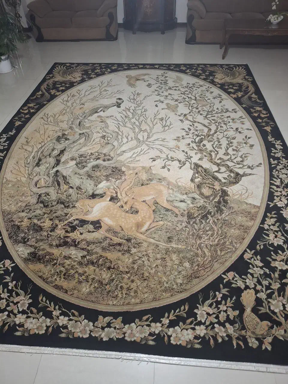 فروش فوری فرش 12 متری|فرش|امیرکلا, |دیوار