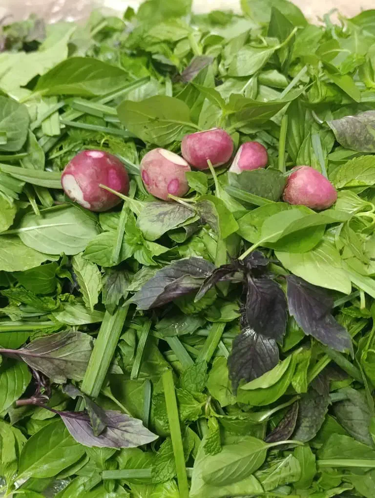 نگهبانی و باغبان ت|استخدام سرایداری و نظافت|شیراز, گویم|دیوار