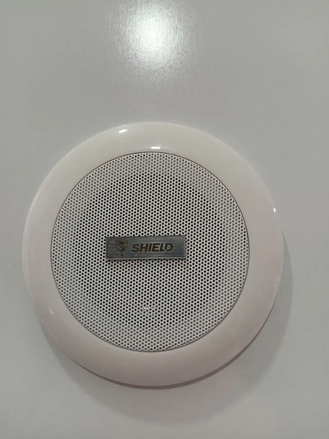 اسپیکر سقفی سرویس بهداشتی|مصالح و تجهیزات ساختمان|یزد, |دیوار