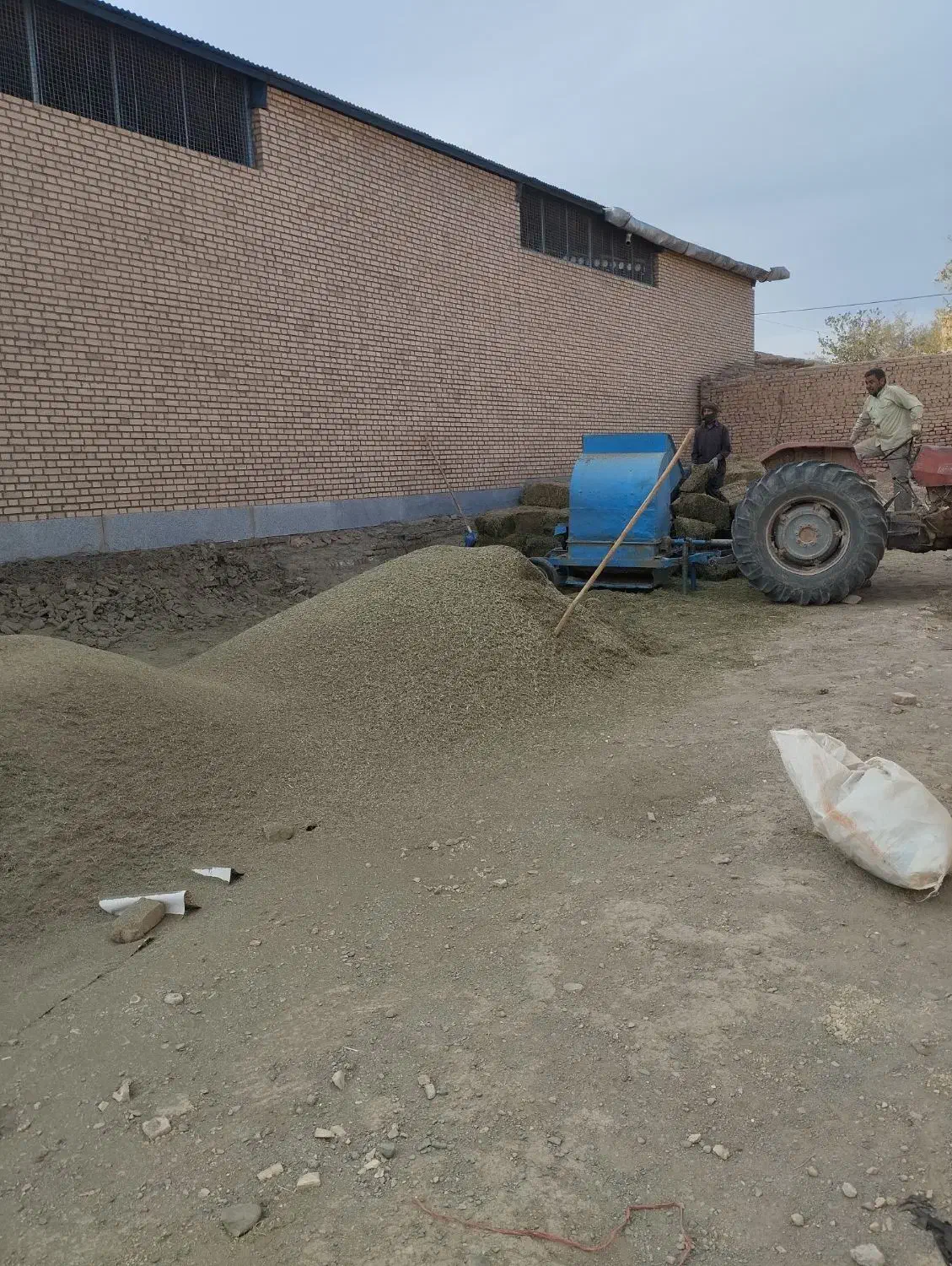 کاه بیده.کاه یونجه درجه یک|خدمات باغبانی و درختکاری|اسحاق آباد, |دیوار