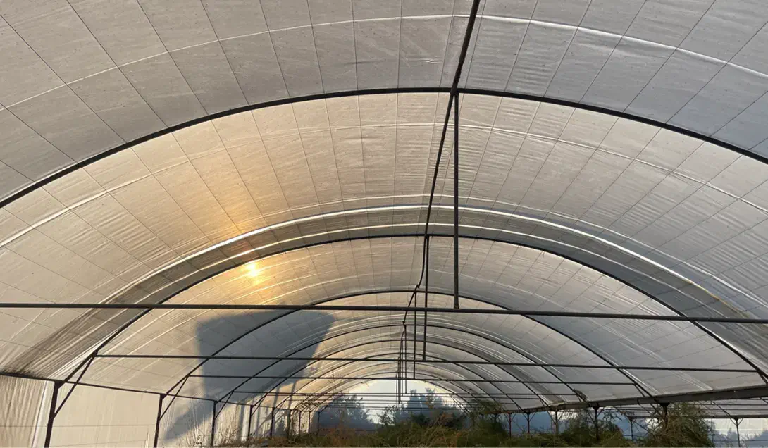 فروش گل خانه|فروش دفتر صنعتی، کشاورزی، تجاری|کازرون, |دیوار