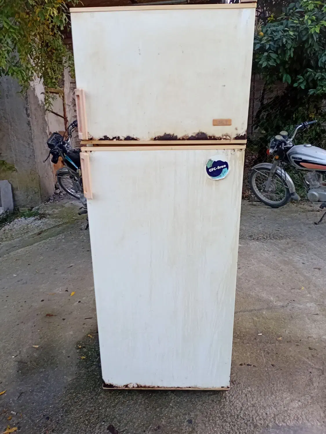 یخچال|یخچال و فریزر|ساری, |دیوار