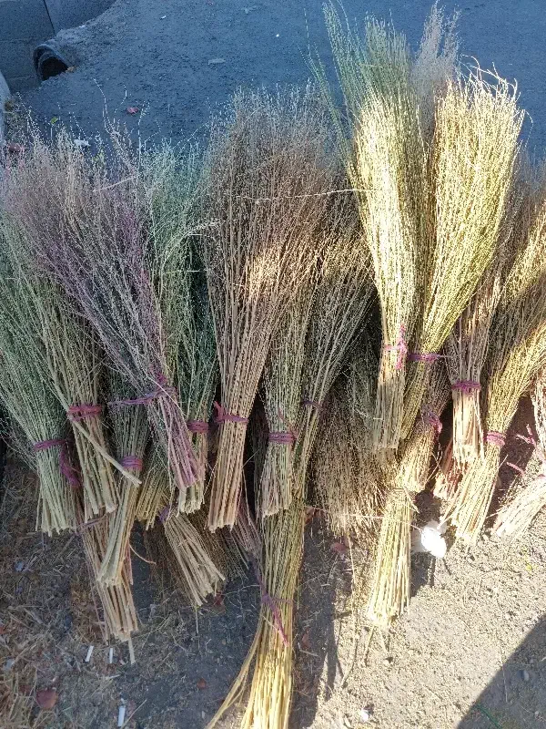 جارو|لوازم نظافت|کامیاران, |دیوار