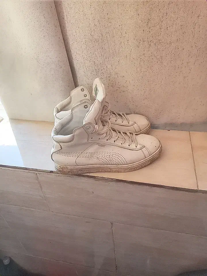 مفت گزاشتم|کیف، کفش، کمربند|رشت, سیا اسطلخ|دیوار